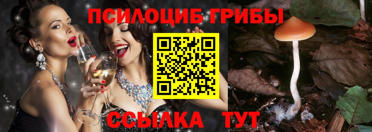 Псилоцибиновые грибы мицелий  Вход с VPN  Изобильный  Псилоцибиновые грибы ЛСД 